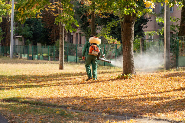 Best Local Pest Control Services  in Sheboygan Falls, WI